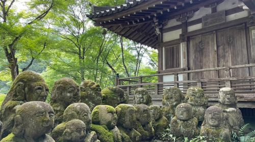 Otagi Nenbutsu-ji & Arashiyama Bamboo Forest Walking Tour Day Tours