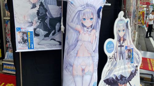 Shingo Travel Co., Ltd. Akihabara Anime & Subculture Pilgrimage - Choose One of Three Experience Courses