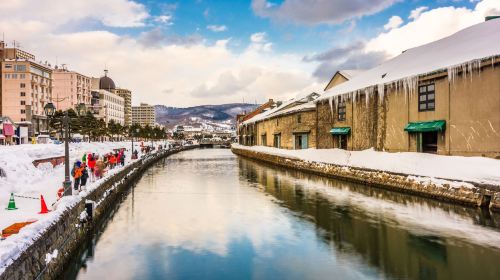 [Flexible Small Group] Romantic Otaru Day Tour: Tenguyama from "First Love" + Otaru Music Box Museum Day Tours