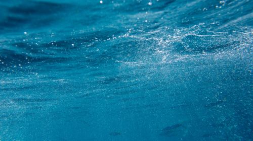 Moalboal Sardine Run