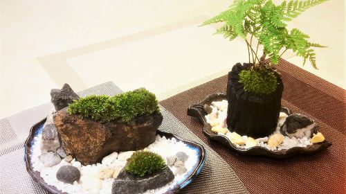 Tokyo Culture School Iroha
