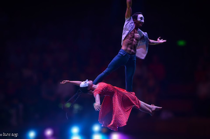 Private full day Tour  with Free Phare Circus show with ticket C