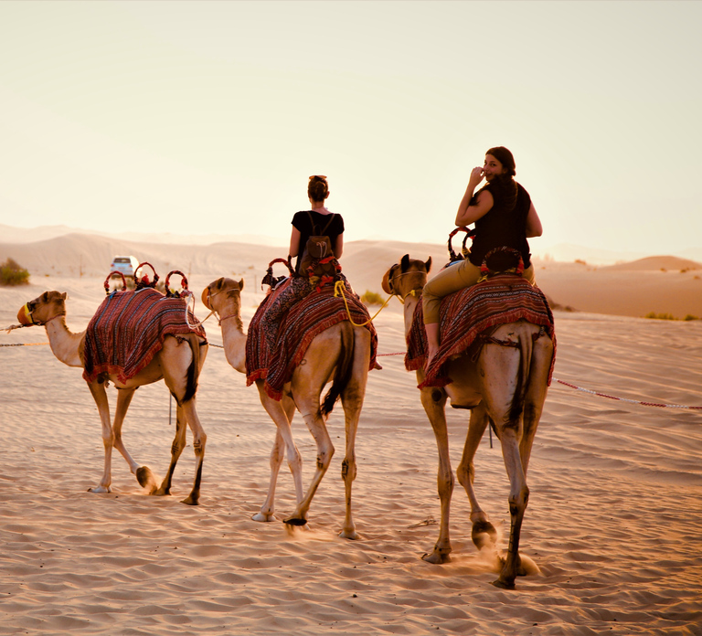 From Abu Dhabi: 4-Hour Morning Desert Excursion
