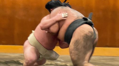 Chair Seat Guaranteed SUMO Practice +Photo +Culture Option Day Tours