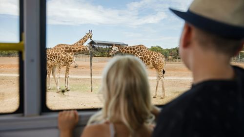 Monarto Safari Park: General Admission Tickets Day Tours