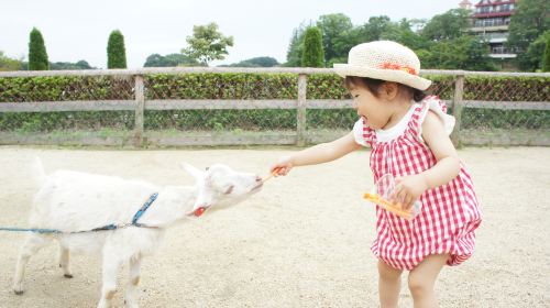 Nasu Rindo Lake Family Ranch
