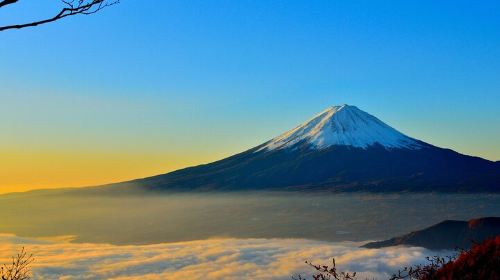 Fuji-Q Highland Day Tours