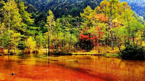 1-day tour to Kamikōchi from Nagoya (round-trip) - Kappa Bridge / Taisho Pond / Myojin Pond