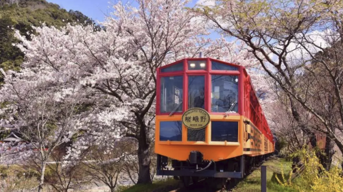 Kyoto Arashiyama Sagano Romantic Train Car No. 5 booking service