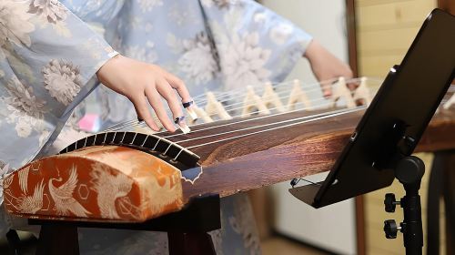 Concerts Played with Traditional Instruments in Kyoto Day Tours