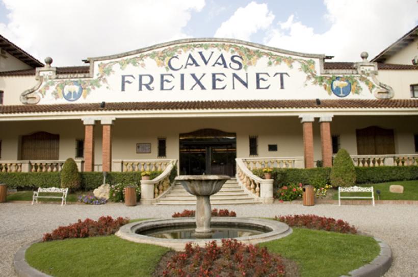 Private Tour to Freixenet Wine Cellar & Peña de Bernal
