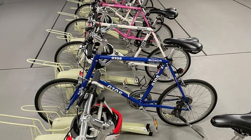 Tokyo: Discover Traditional Tokyo Full-Day Bicycle Tour Day Tours