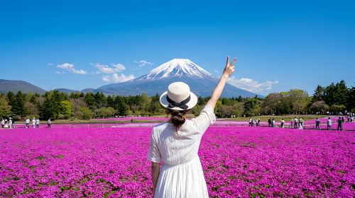 Limited-time Fuji Shibazakura festival: 1-day tour to Lake Motosu, Lake Kawaguchi, Lake Yamanaka and Oshino hakkai with small group Day Tours