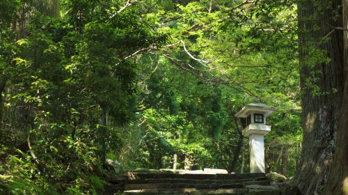 1-day tour of Kumano-Kodo Nakahechi Pilgrimage Route light hiking in Nagoya, Japan