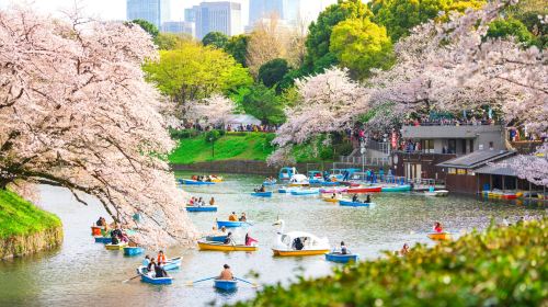 Tokyo private charter day tour with hotel pick-up – Licensed green-plate vehicles with English/Chinese-speaking drivers