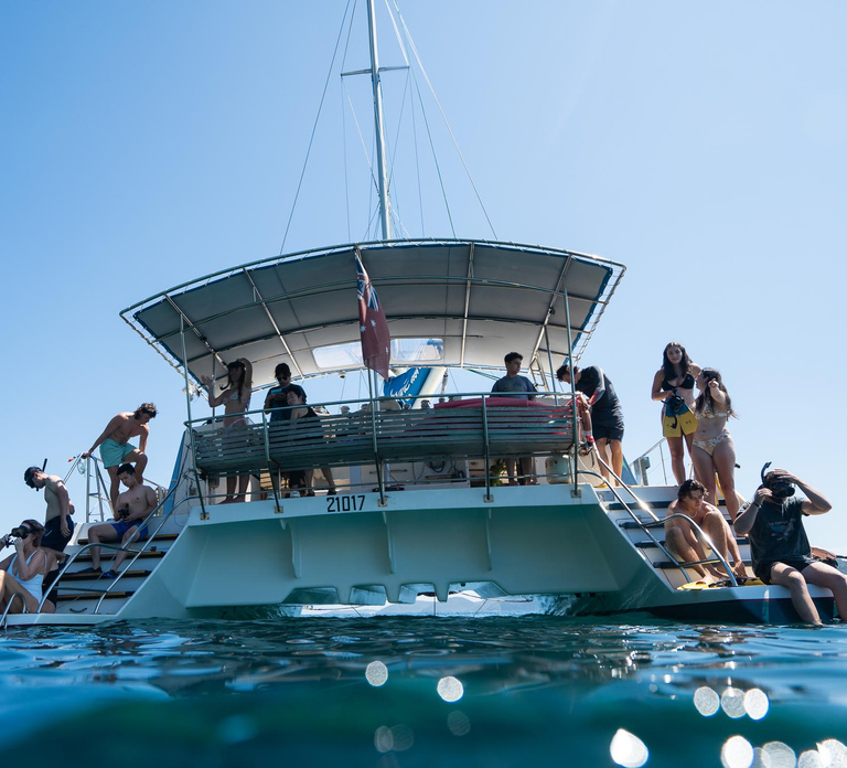 Nelson Bay: Marine Discovery Cruise with Snorkeling