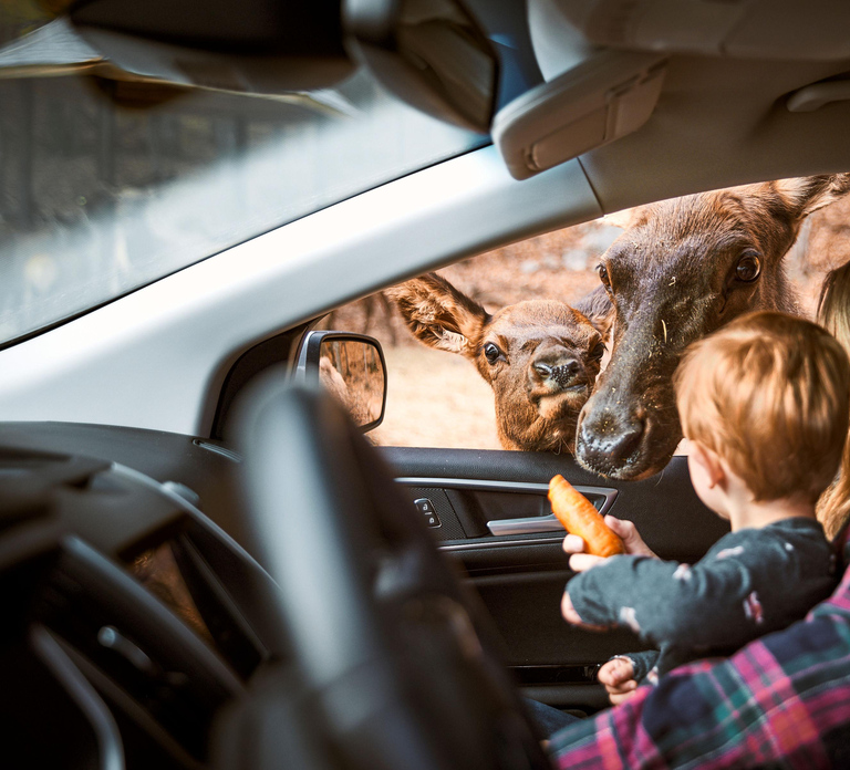 Montebello, QC: General Admission to Parc Omega