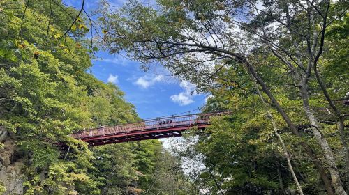 1-day tour to Jozankei & Yuni Garden for maple leaves & flower viewing Day Tours