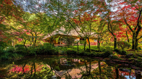 Saga, Kyushu autumn foliage tour - seasonal fall experience