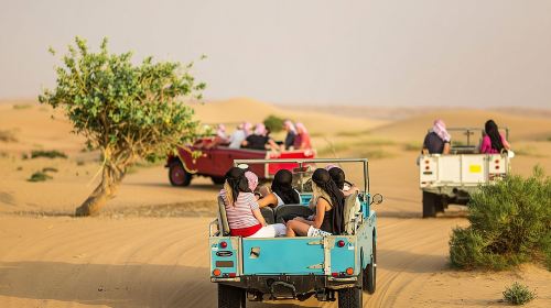 Heritage Luxury Nature Safari by Vintage Land Rover+Sunset Falcon Show+Traditonal Dinner Day Tours