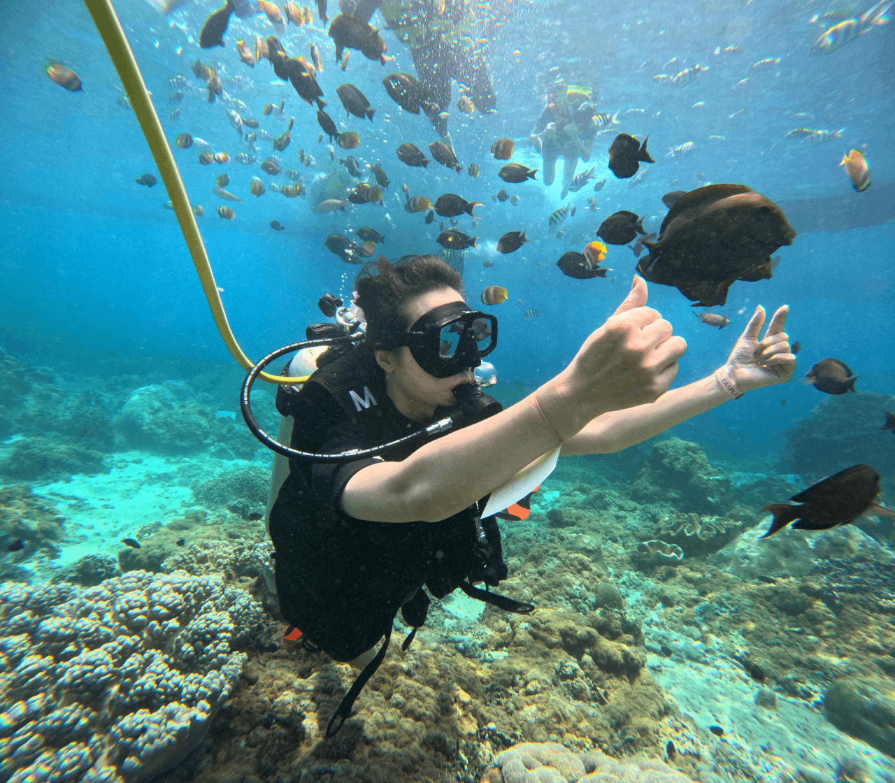 Watersport & Nusa Penida Tours Packages
