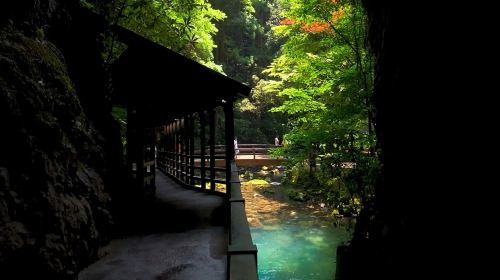 Japan Kitakyushu Yamaguchi Akiyoshido Cave + Motonosumi Shrine + Tsunoshima Bridge 1-day tour