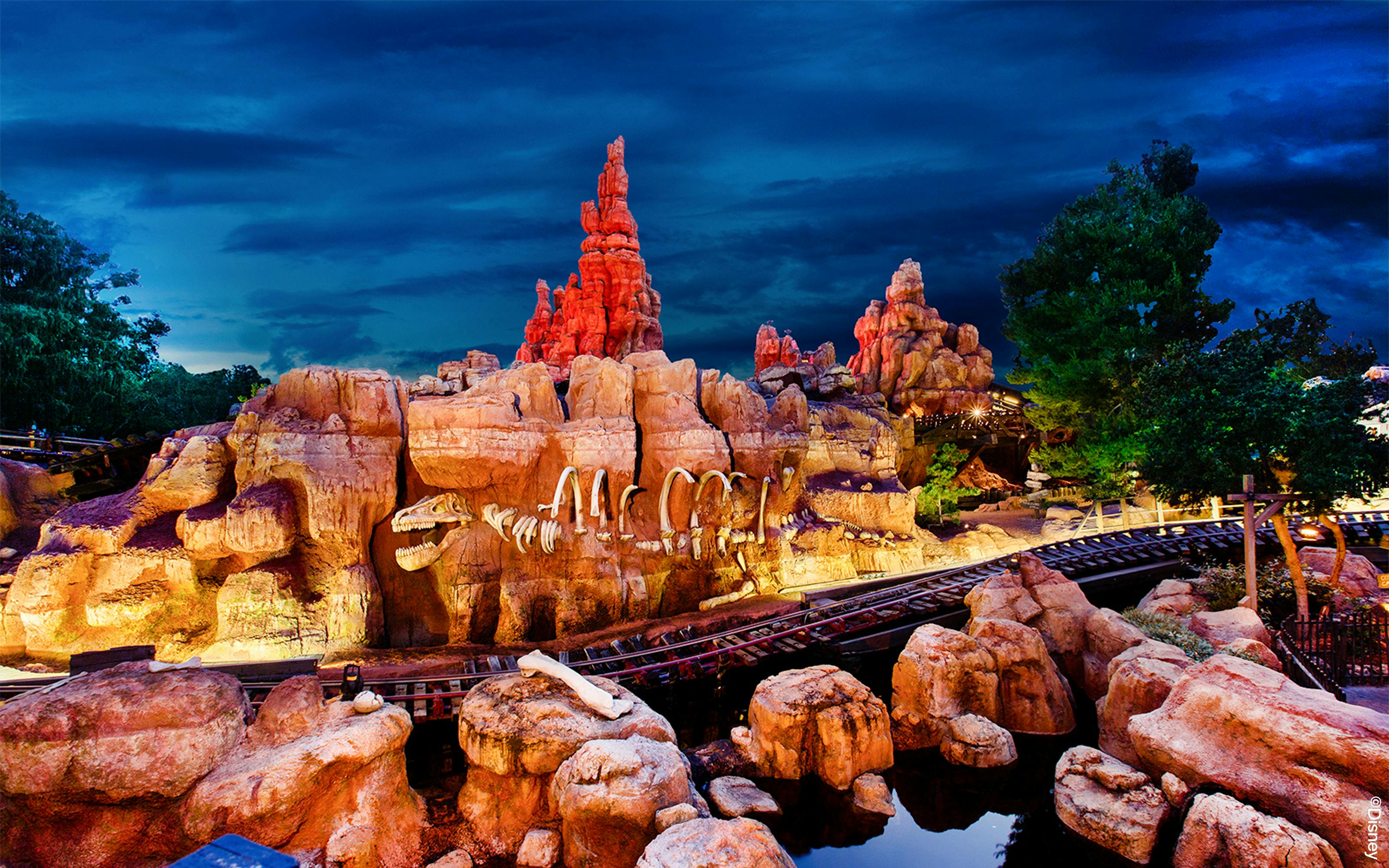 Disneyland California 1-Day Tickets