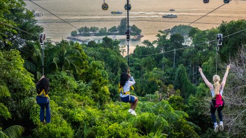 Mega Adventure - Singapore MegaZip (Daytime Flight) + Sentosa Express (Island Admission) (Standard)
