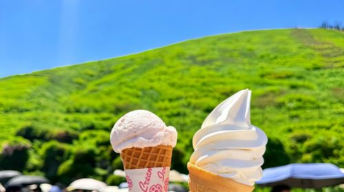Japan Tokyo Izu 1-day tour – Mt. Omuro, zoo, scenic train experience