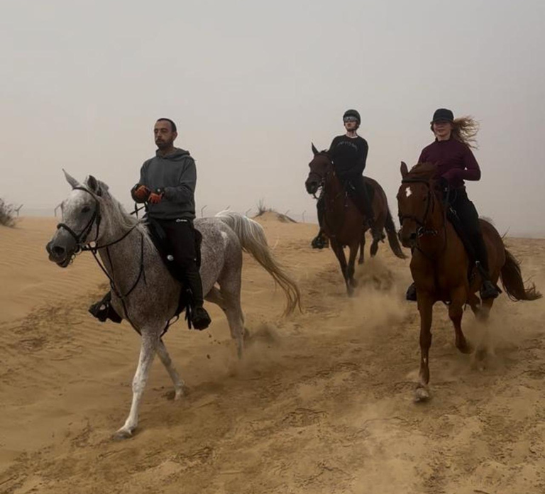 Dubai: Desert Horseback Riding Experience
