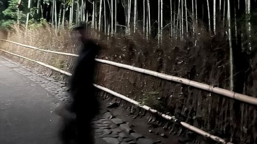 Kyoto Ghost Tour: Dark Tales, Urban Legends, Bamboo Forest Night Day Tours