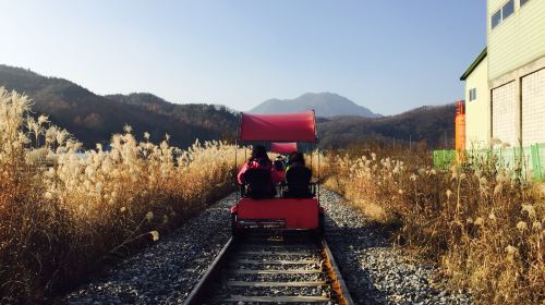 Nami Island + Gangchon Railbike + The Garden of Morning Calm One Day Tour