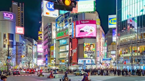 Shibuya Day Tours