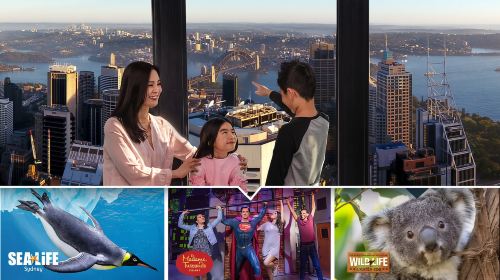Sydney: Ultimate City Pass for 4 Attractions with Skywalk Day Tours