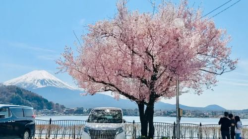 Iconic Fuji Adventure: Kawaguchiko, Stairway Town & Instagram Hotspots