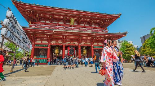 Tokyo Private Tour by Vehicle with English-Speaking Chauffeur Day Tours