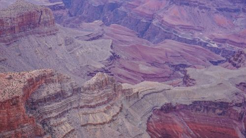 1-day tour of Grand Canyon National Park [South Rim + Lunch] Day Tours