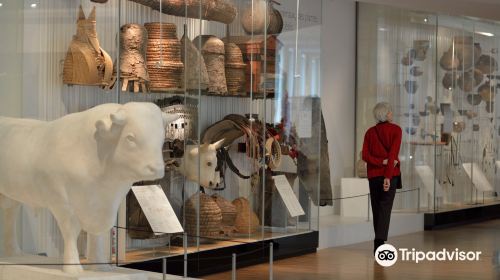 Musee de L'Homme