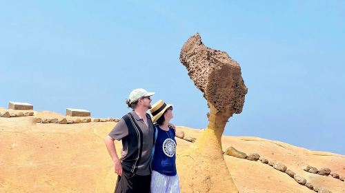Taipei: Yangmingshan, Yehliu, and Jiufen Shifen Day Tour Day Tours