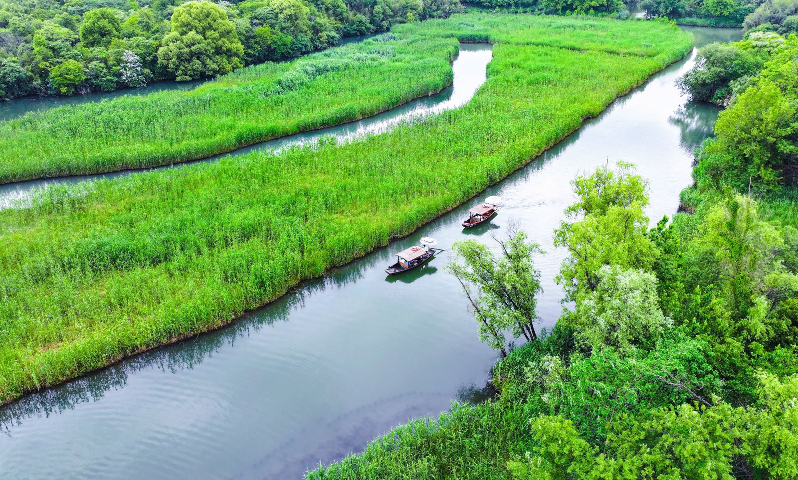 Xixi National Wetland Park Admission + Electric boat ticket