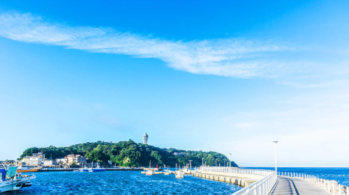 Private chartered tour in Tokyo and Izu to Mt. Omuro + Jogasaki Coast + Cactus Park. Customizable itinerary
