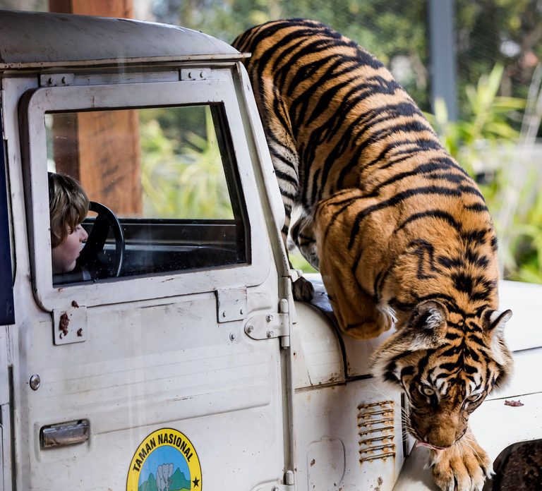 Sydney: Taronga Zoo Ticket with Return Ferry