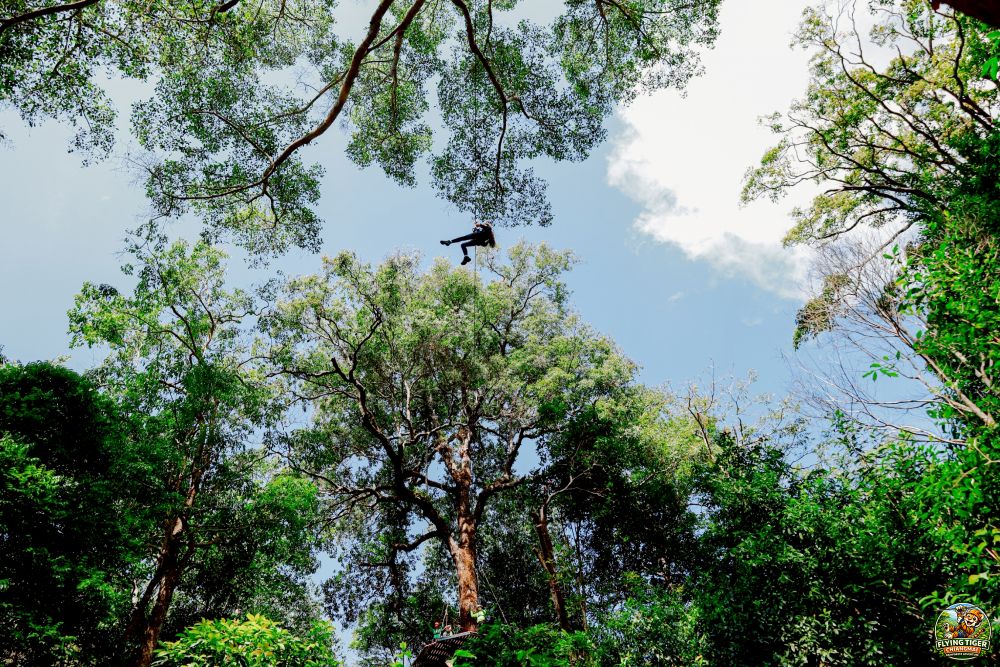 Flying Tiger Zipline Chiang Mai