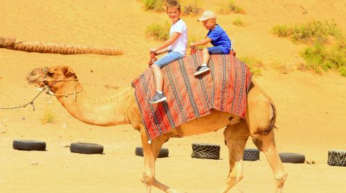 Quad safari in Ras Al Khaimah with optional dinner at the camp