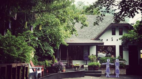 Lavender Forest Jianshi Store