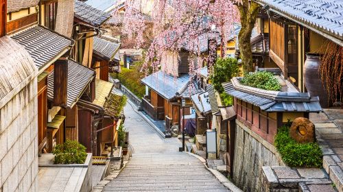 Japan Kyoto Kiyomizu Temple Fushimi Inari Shrine Nara Park Todaiji Temple 13 people small group one-day tour Day Tours