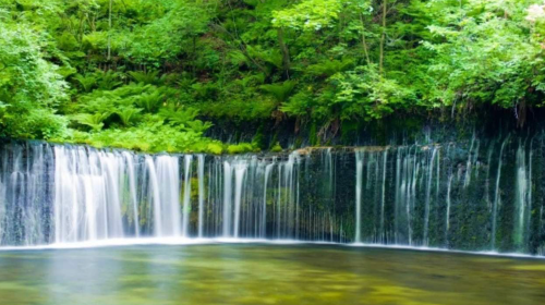 Private Charter Day Tour: Karuizawa Stone Church, Shiraito Waterfall & Kumoba Pond from Tokyo