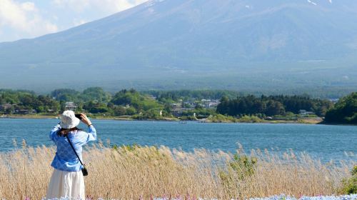 Mount Fuji: Guided Day Tour from Tokyo Day Tours