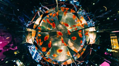 UWS AQUARIUM GA☆KYO (primary school students)