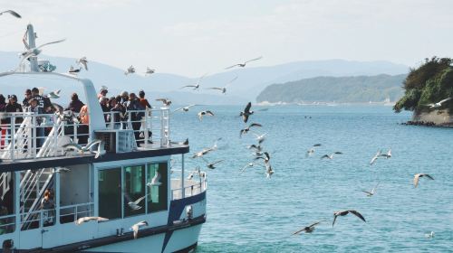 1-day tour of Kyoto Tango Sea Train + Sea of Kyoto + Ine, including train fare and optional boat ride